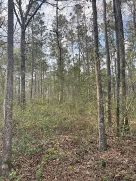 Huntington Land Near Lake Sam