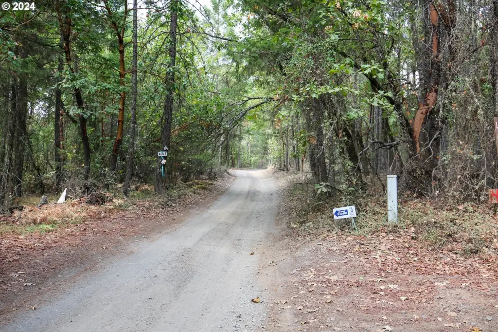 Picture 20