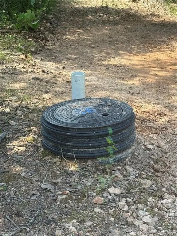 Picture 2