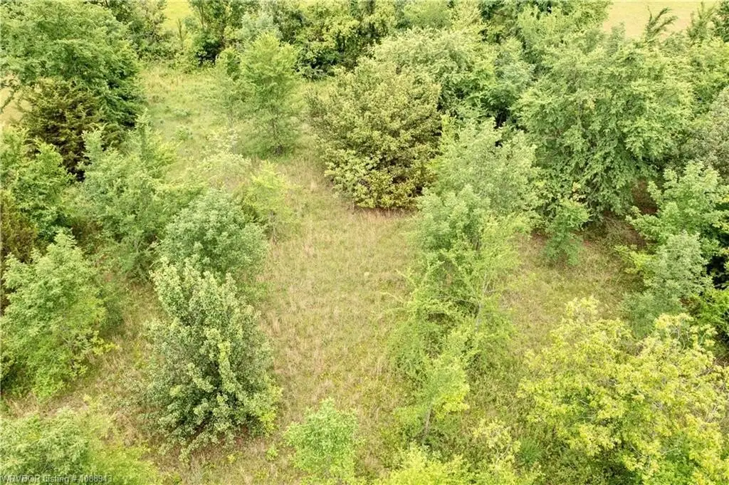 Picture 11