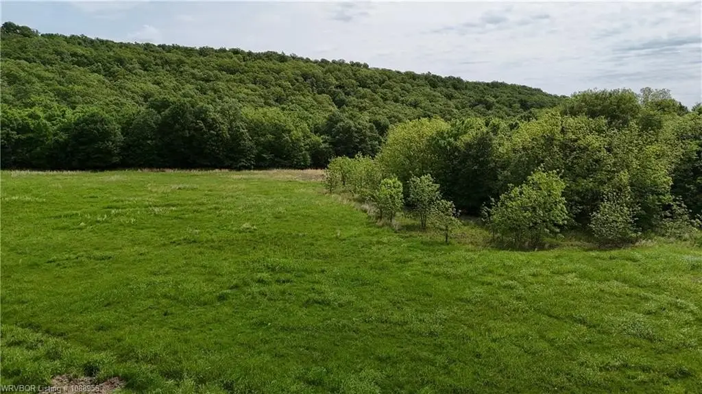 Picture 4