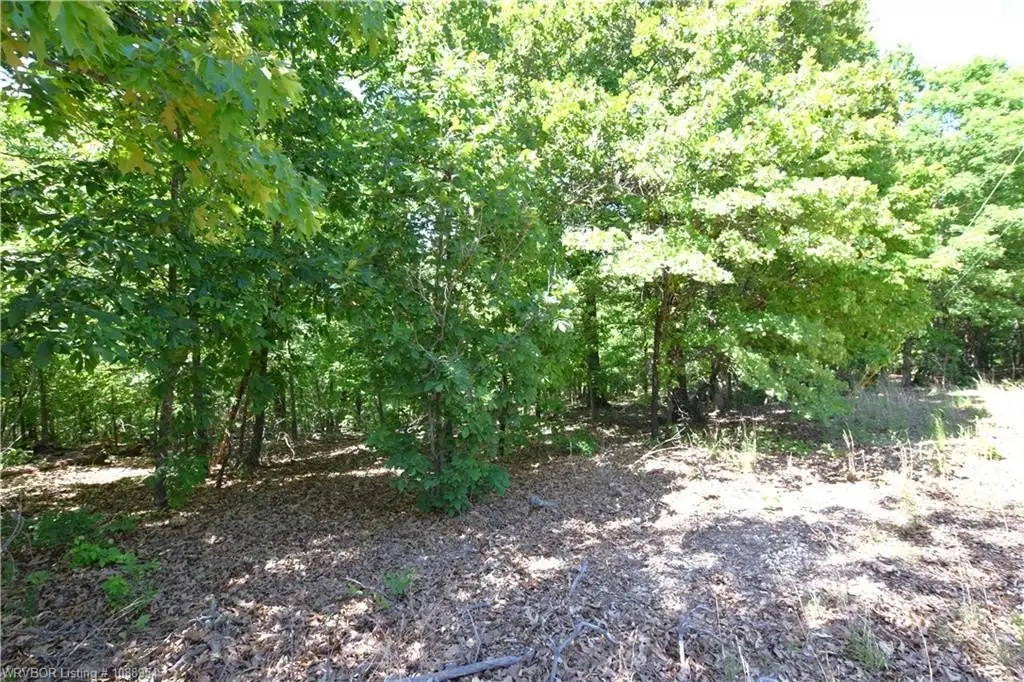 Picture 11
