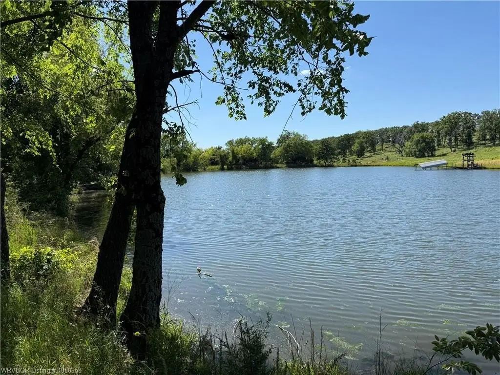 Picture 21
