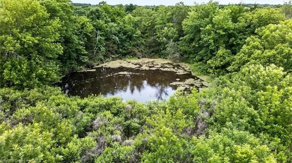 Picture 23