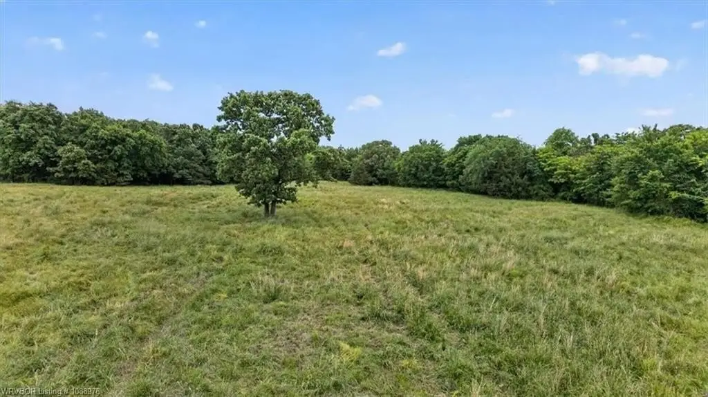 Picture 19