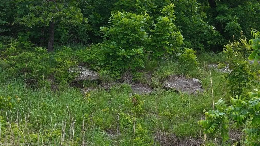 Picture 8
