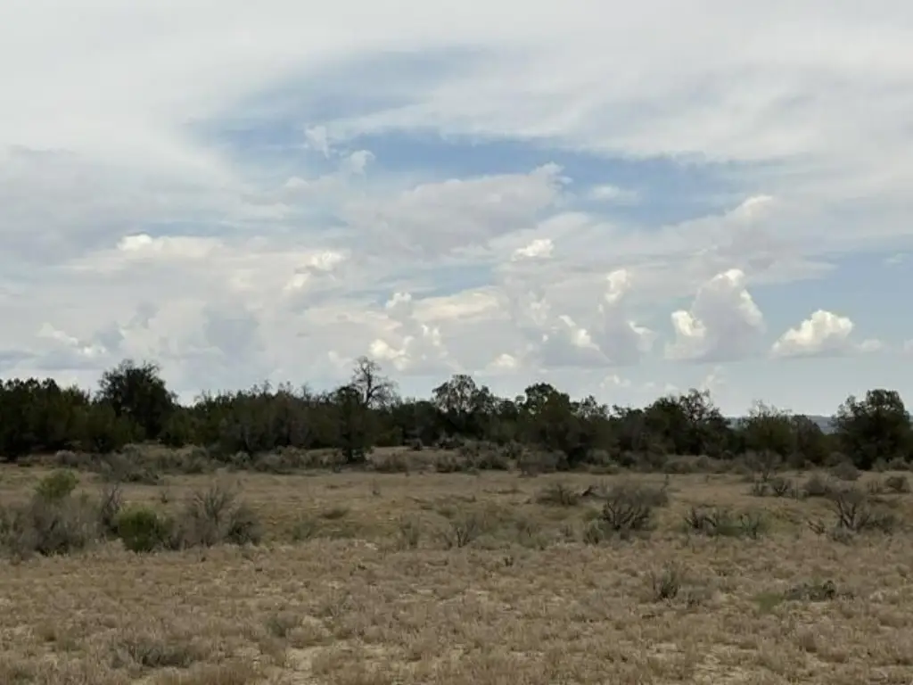 Picture 10