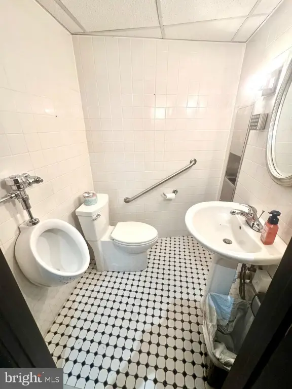 Picture 11