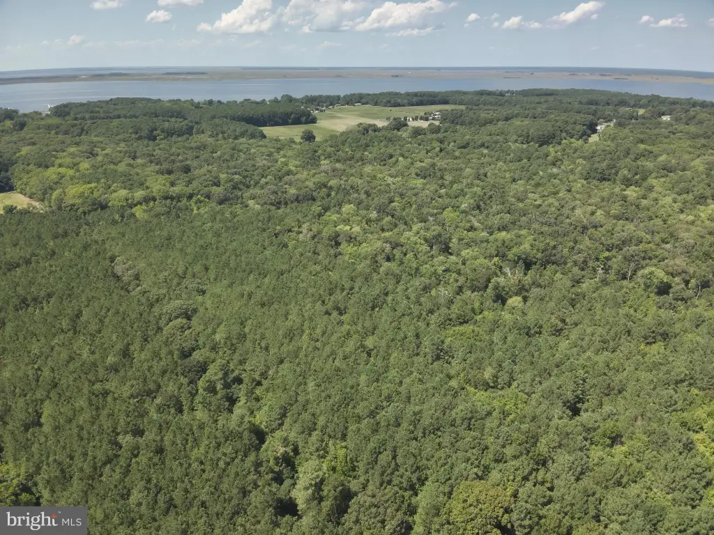 Picture 24