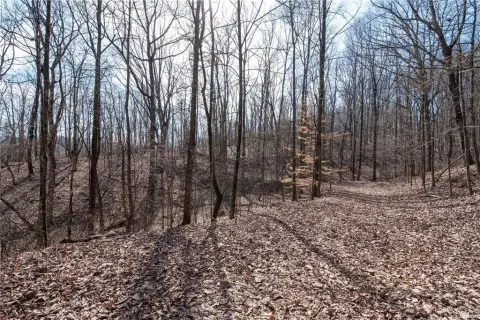 86+ Acres of Pristine Land