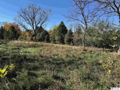 Residential Land in Papillion, NE