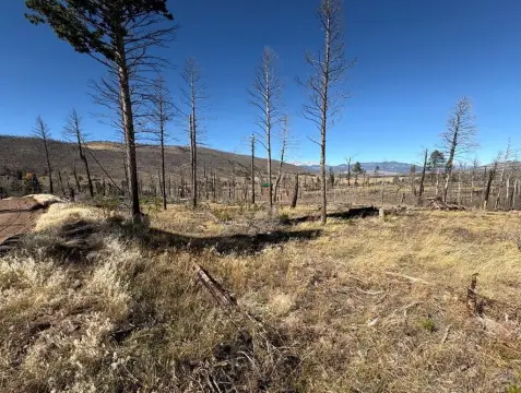 Land in Forbes Park Community