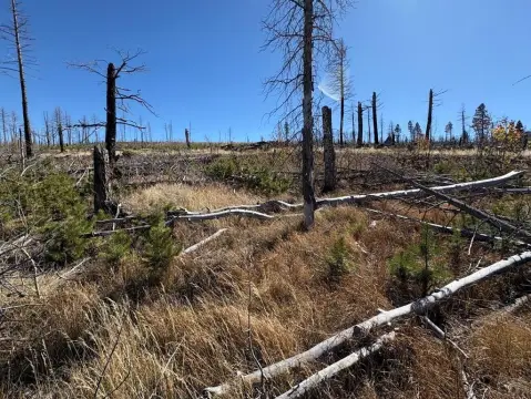 Land in Gated Forbes Park