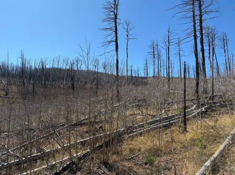 Mountain Land in Forbes Park
