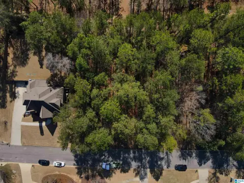 Residential Lots in Chelsea School