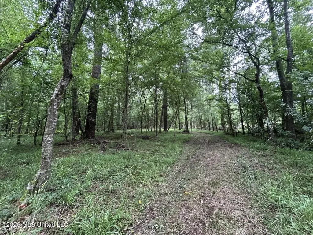 Picture 30