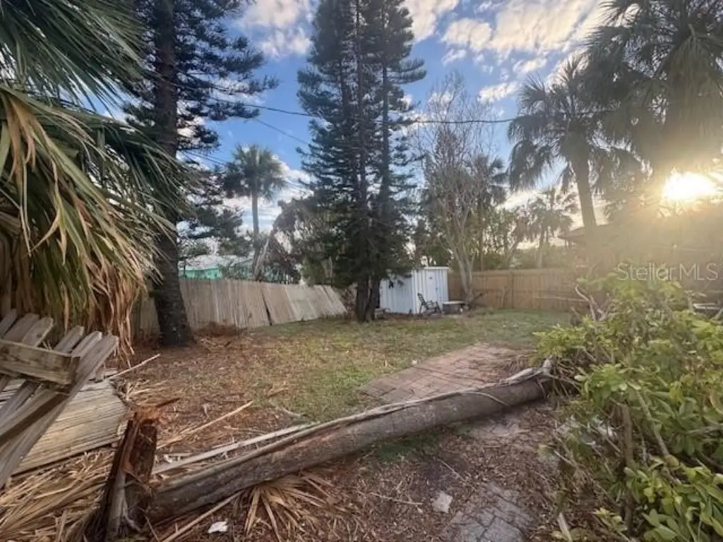 Picture 29