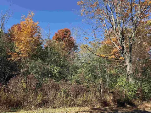 9.4 Acres Wooded Lot