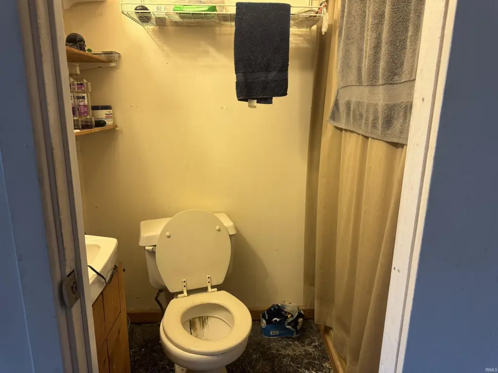 Picture 12