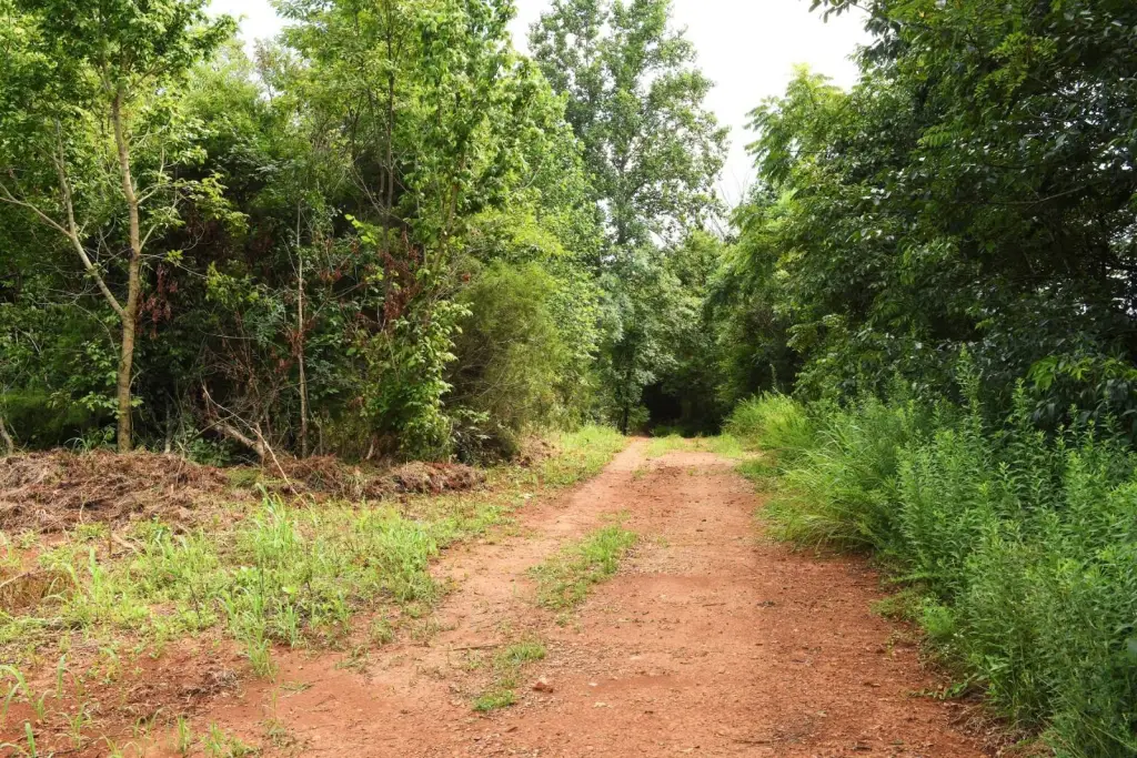 Picture 9