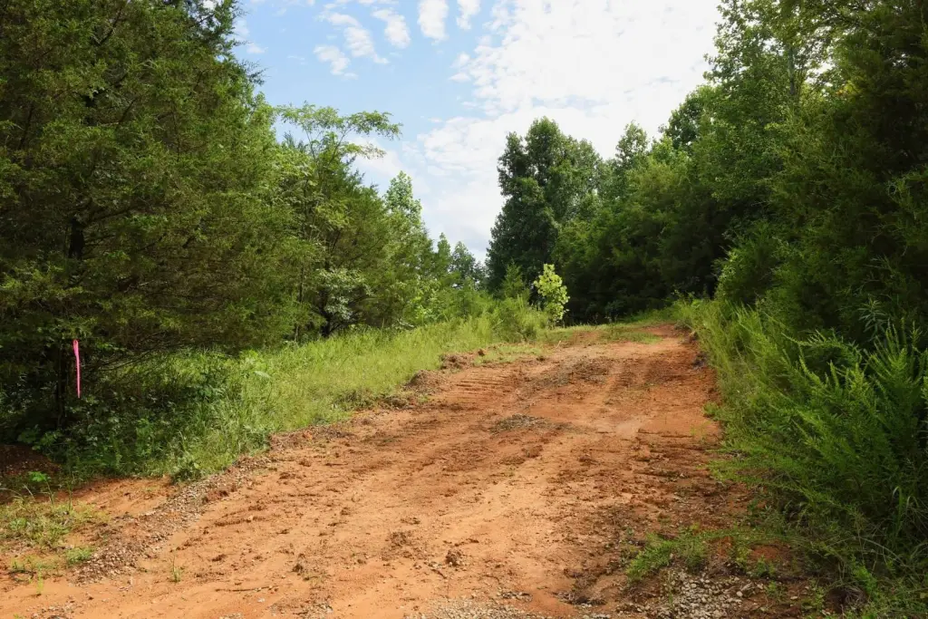 Picture 18