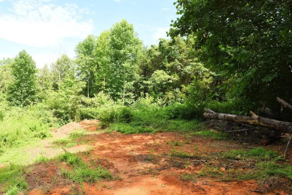 Picture 25