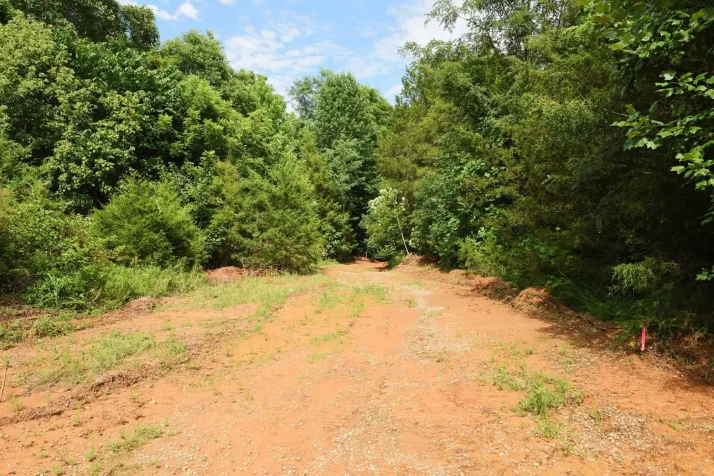 Picture 19