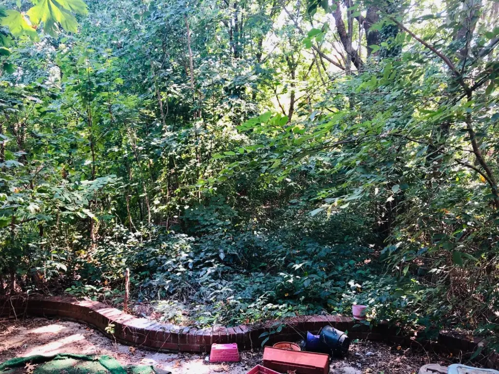 Picture 14