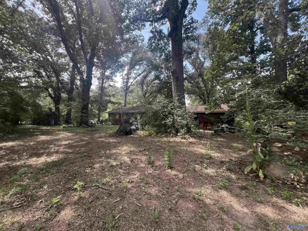 Picture 19