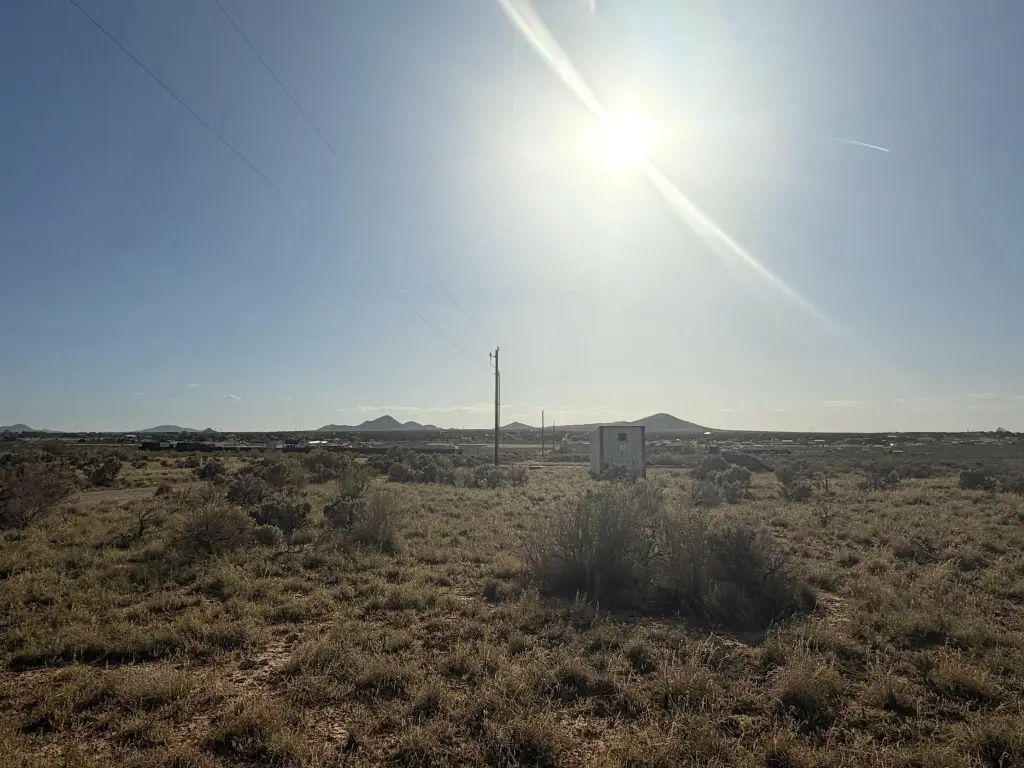 Picture 25