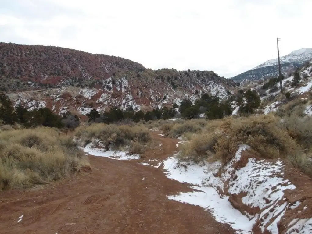 Picture 8