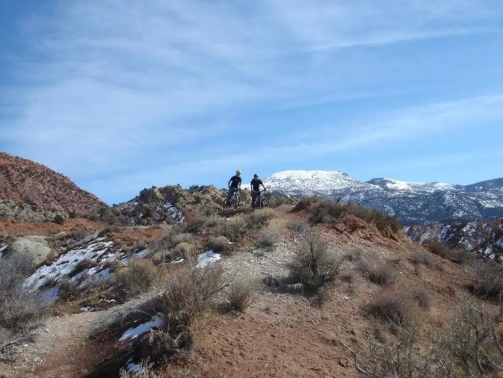 Picture 6