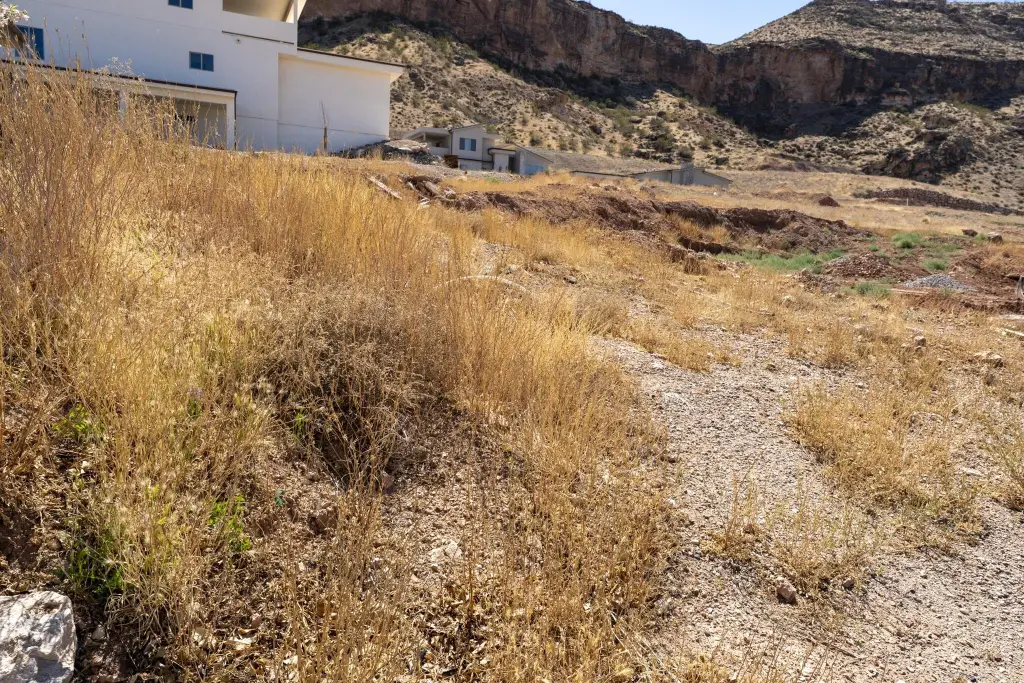 Picture 6