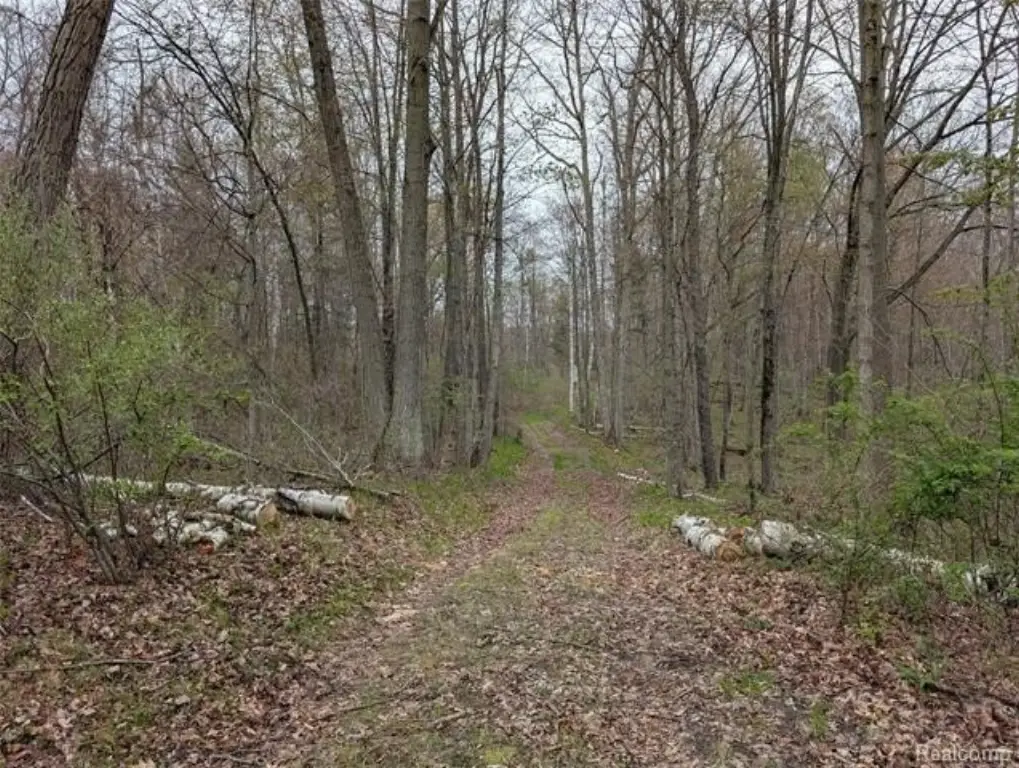 Picture 7