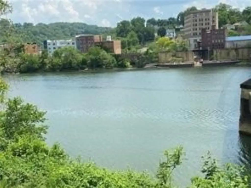 Picture 2