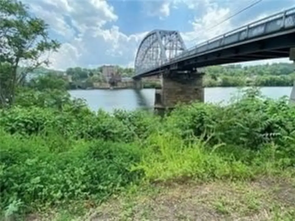 Picture 5