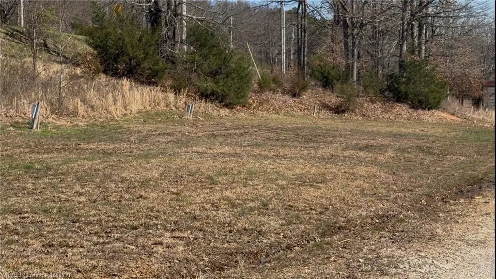 Picture 5