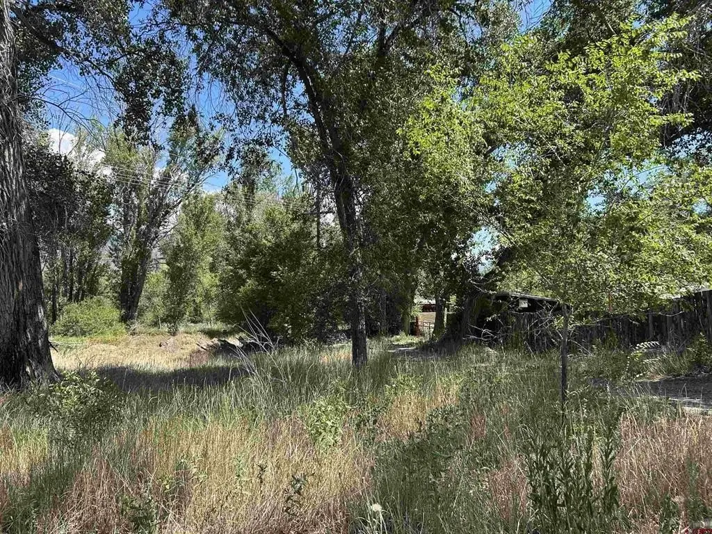 Picture 15