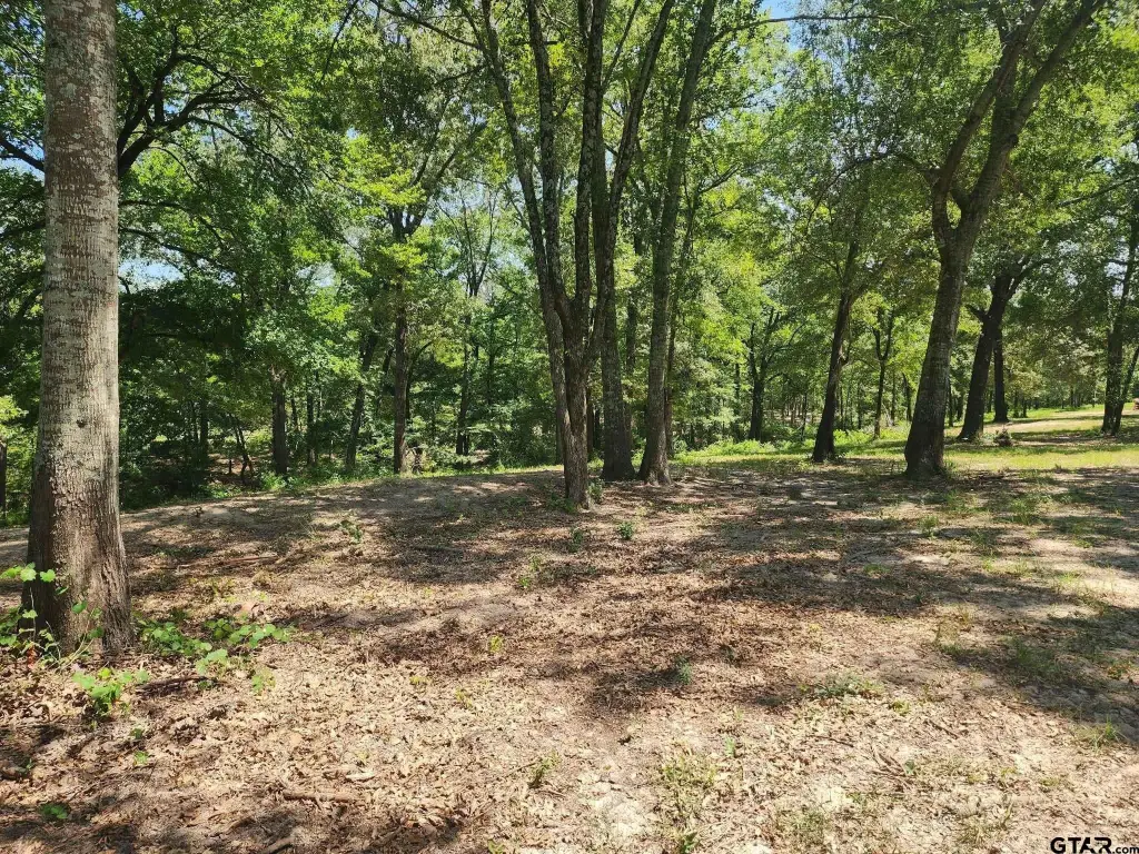 Picture 21