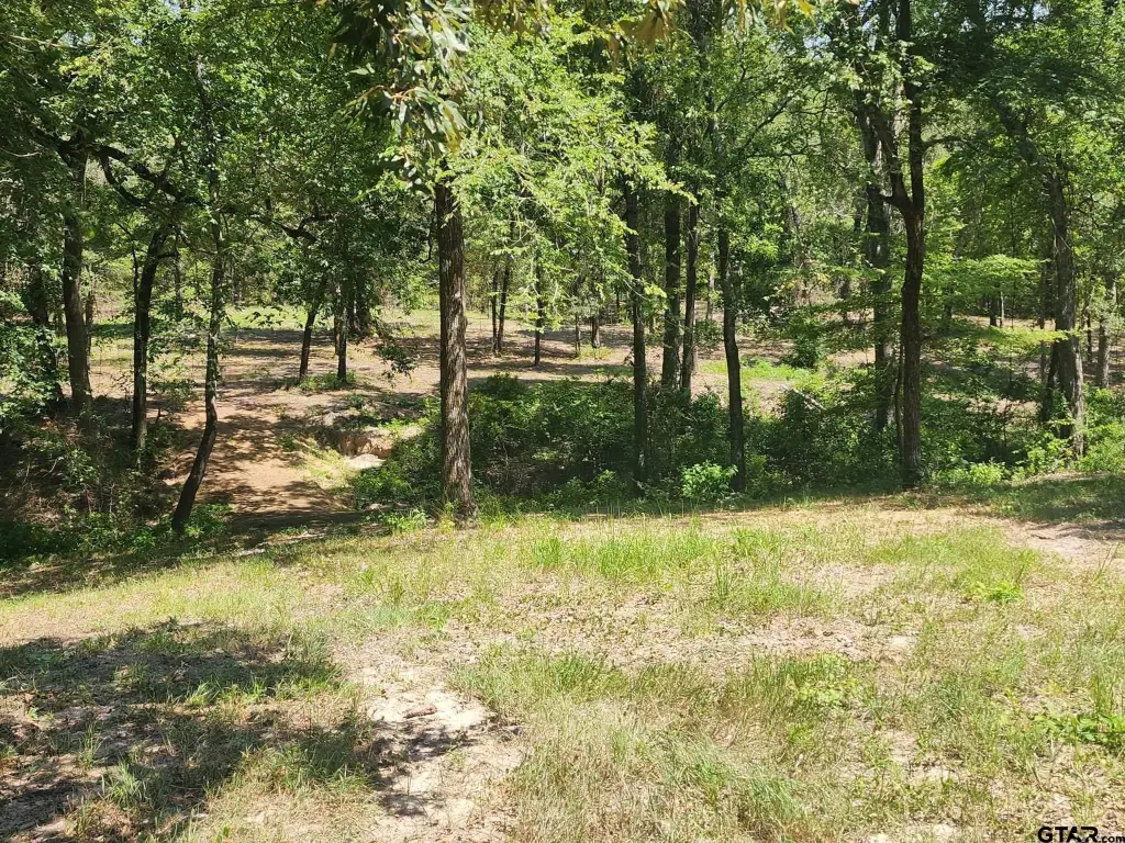 Picture 22