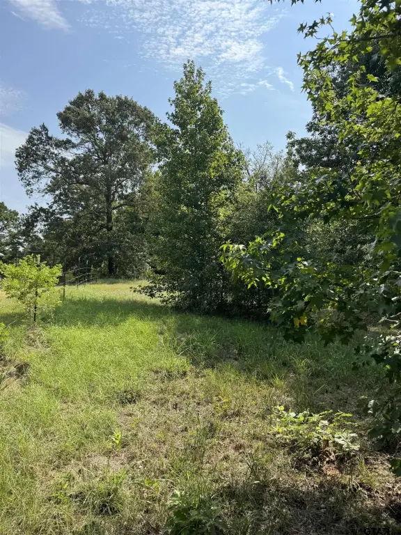 Picture 3