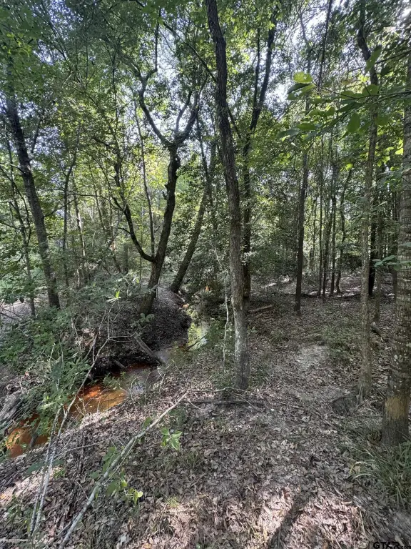 Picture 7