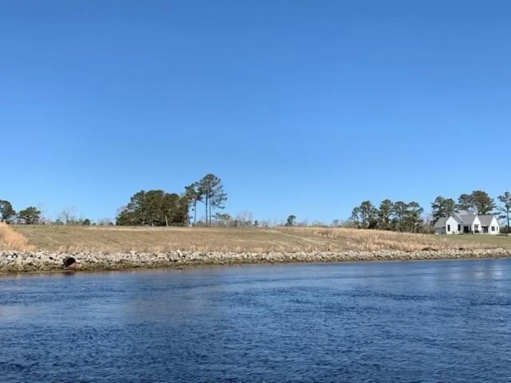 Picture 8