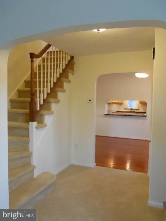 Picture 48