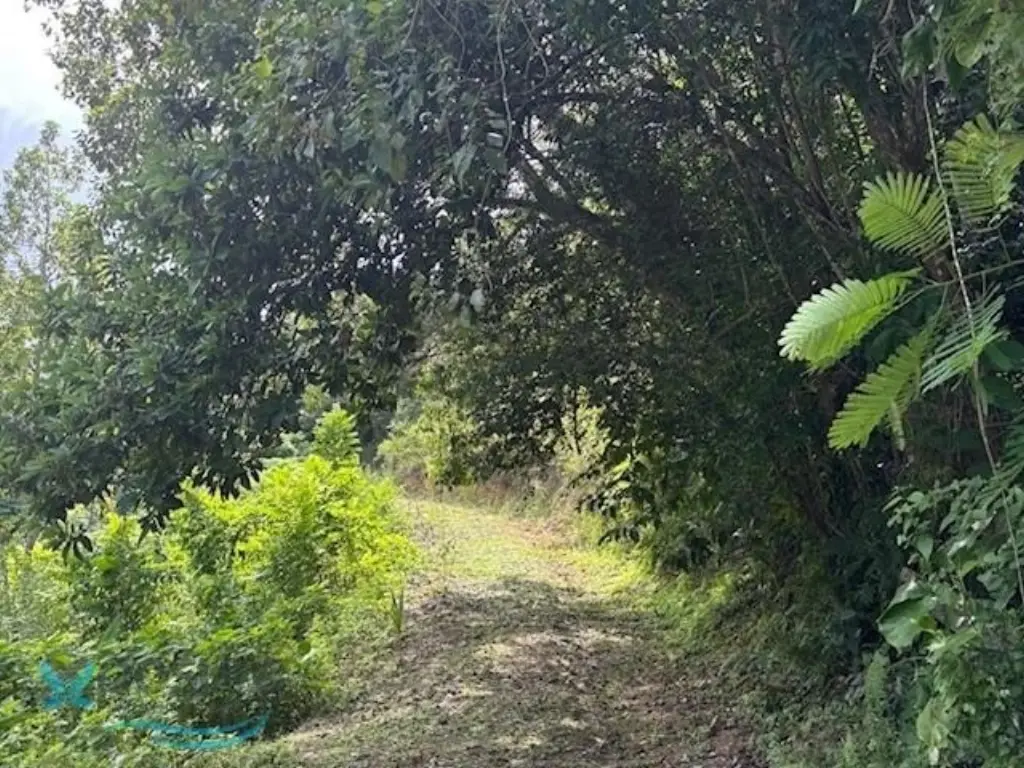 Picture 8