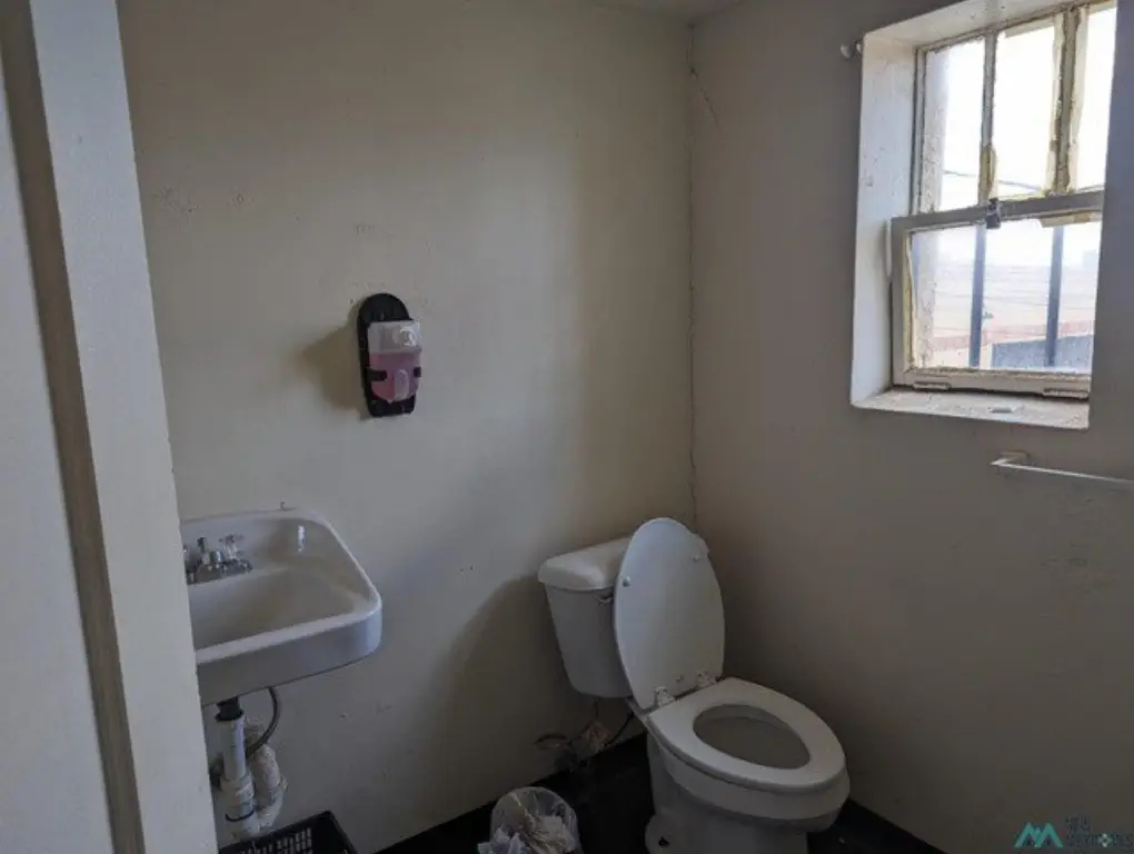 Picture 7