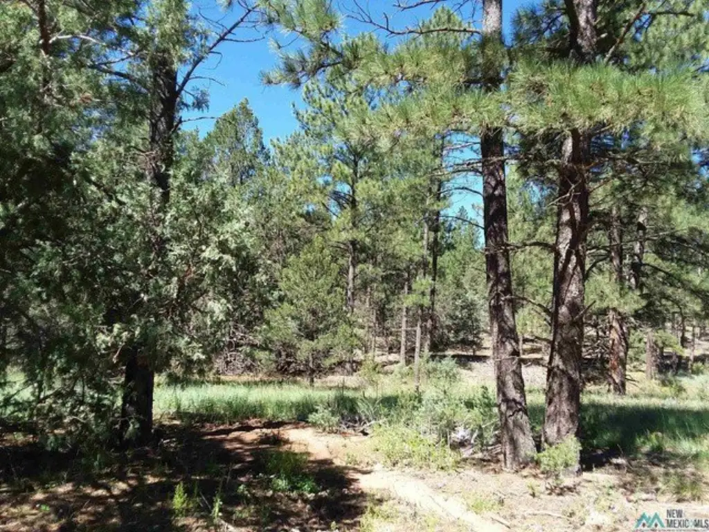Picture 2