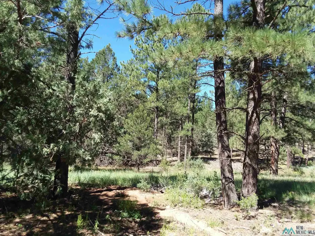 Picture 2