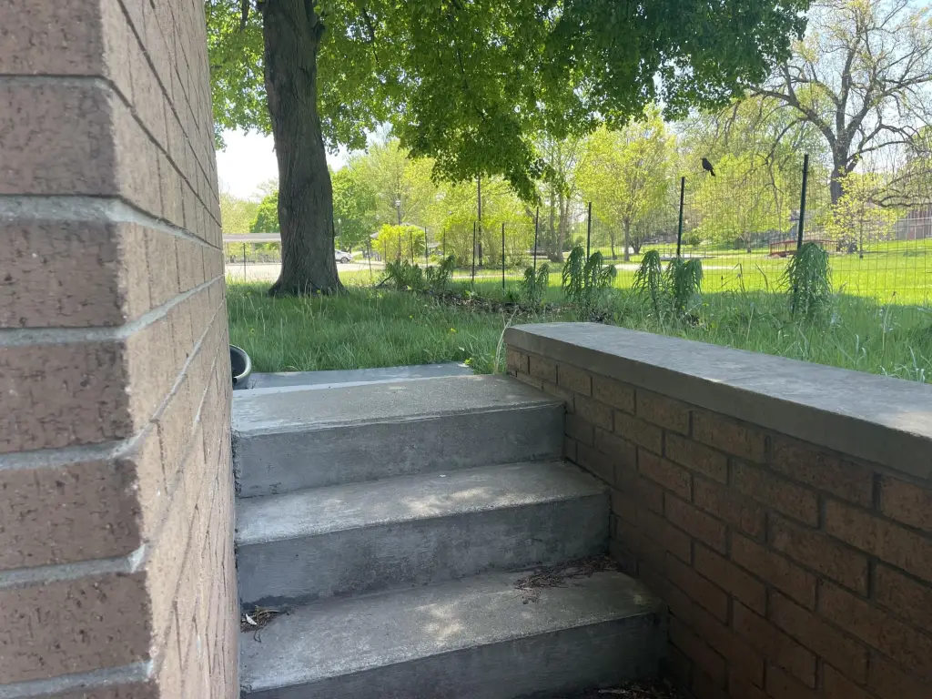Picture 16