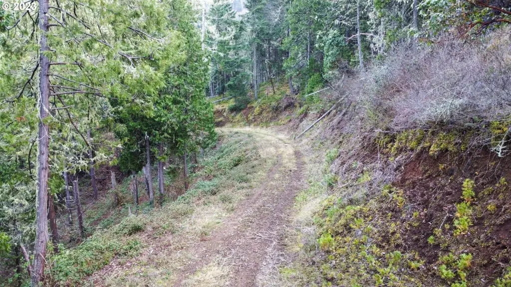 Picture 18